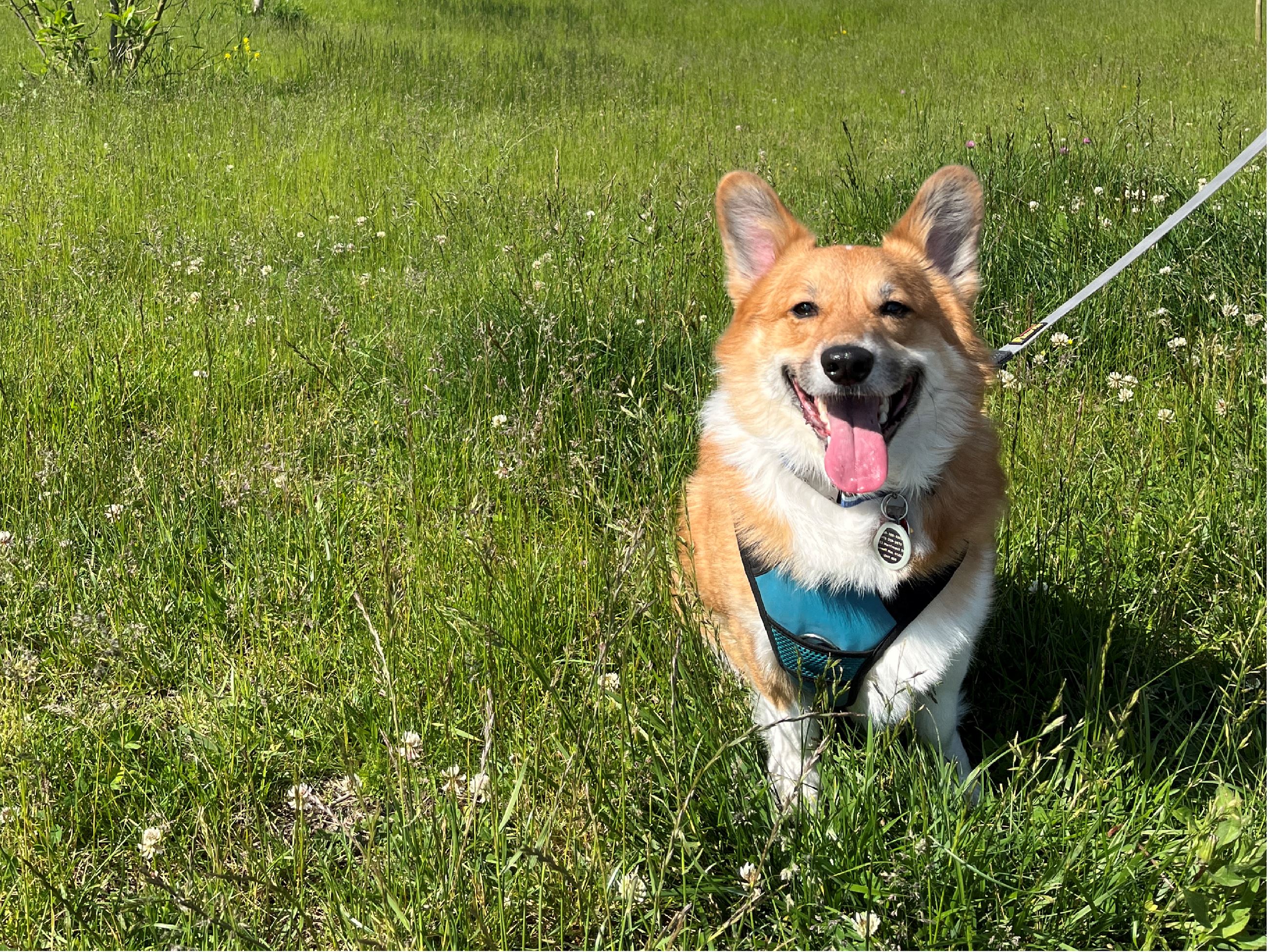 Candid in the park_Cropped-01
