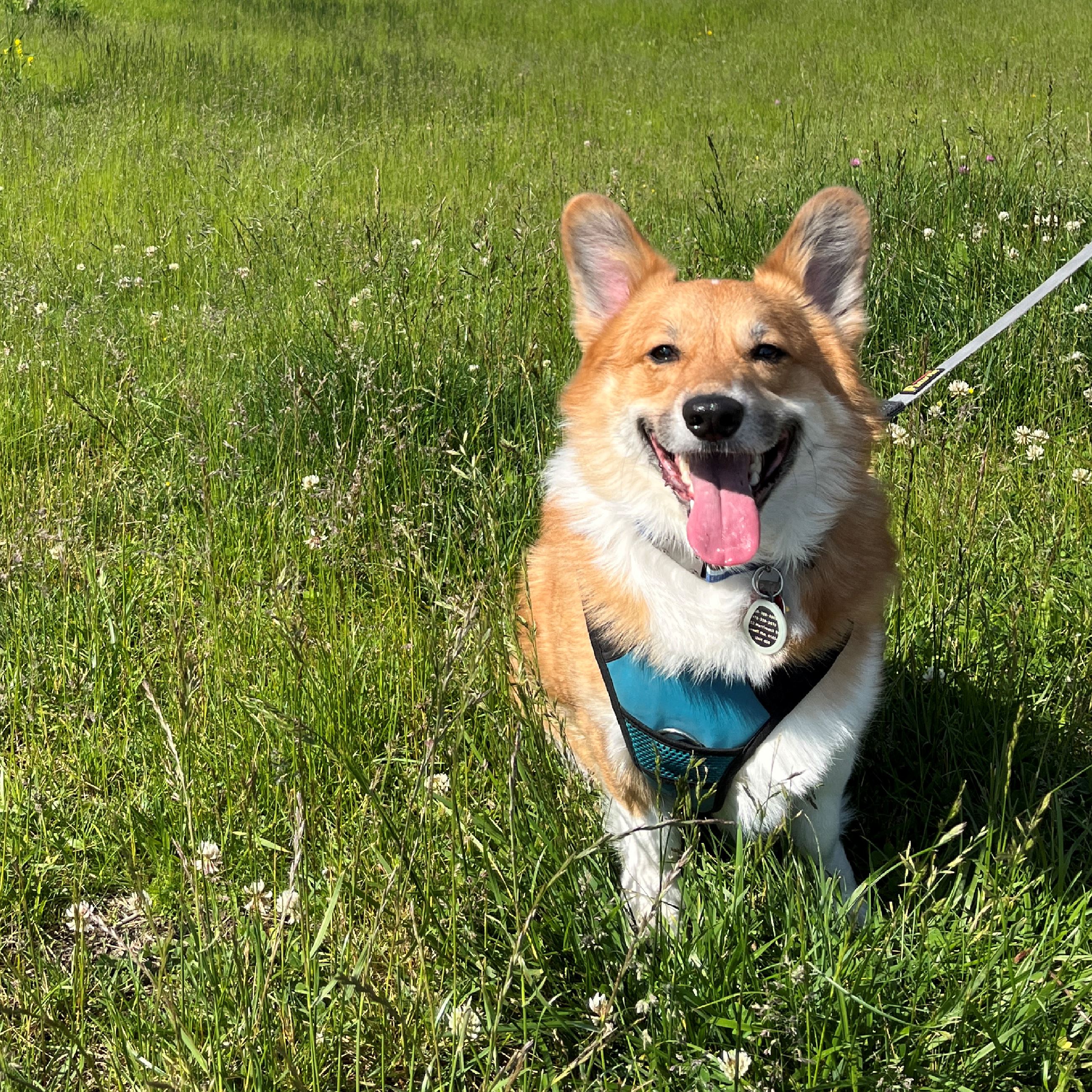 Candid in the park_Cropped-01