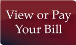 View or Pay Your Bill Button