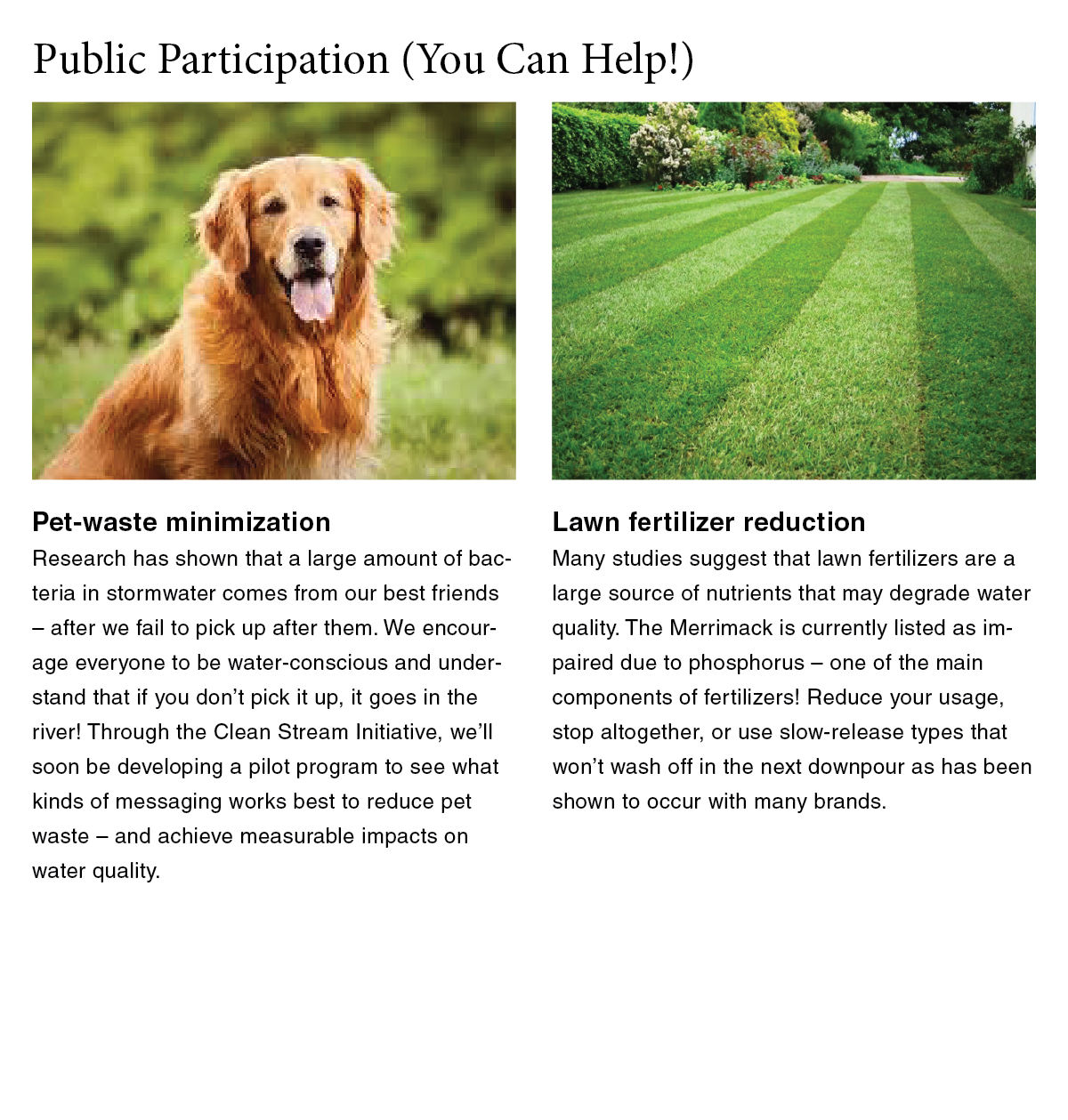 public participation