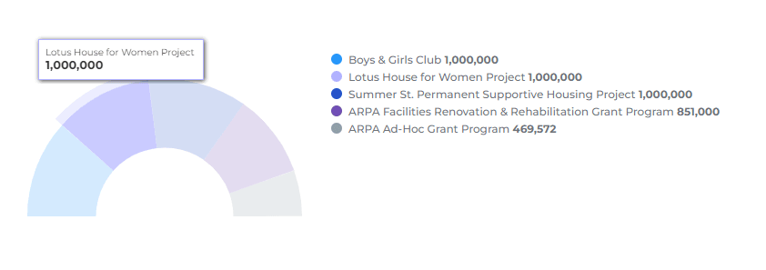 Non Profit - pie chart 