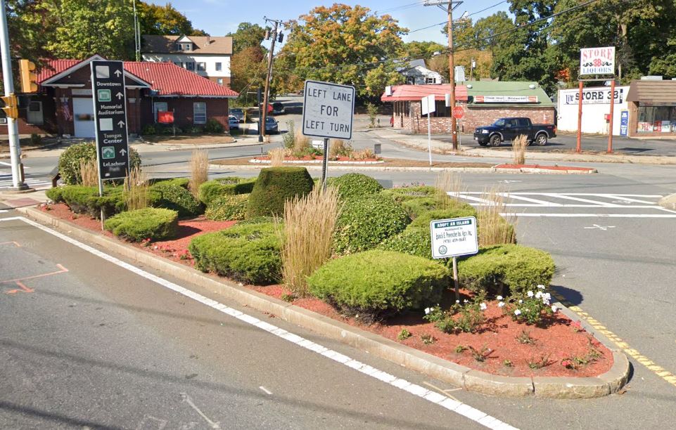 Adopt an Island Image